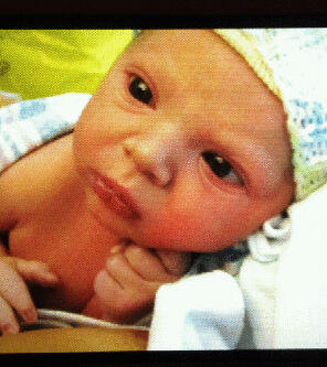 Boothopoulos's tweet image. Welcome to the world lil'guy