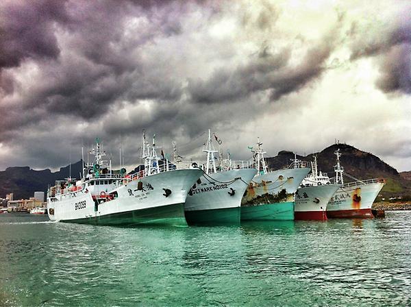blushitfisk's tweet photo. #mauritius shade. Malaysian liners. http://t.co/oa7hUzIC