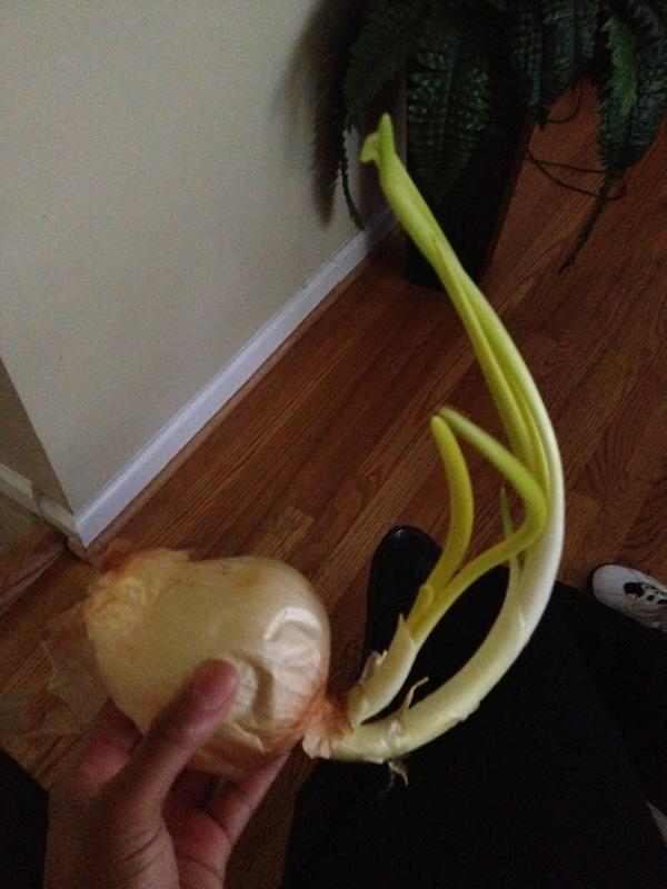B20_Jay's tweet photo. Wtf is this http://t.co/7v3bR4Pg