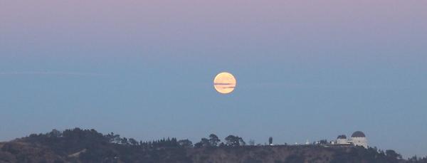 MrsSuperSharp's tweet image. #bluemoon over @griffithobs