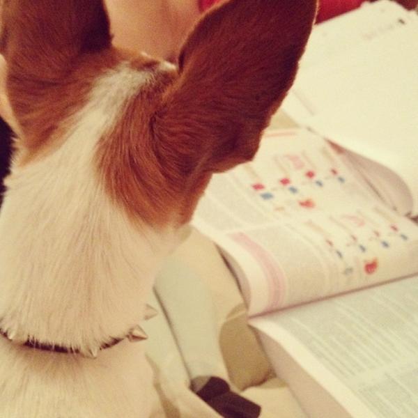 Siera_Capesius's tweet photo. He is helping me http://t.co/zqQ7qjRw