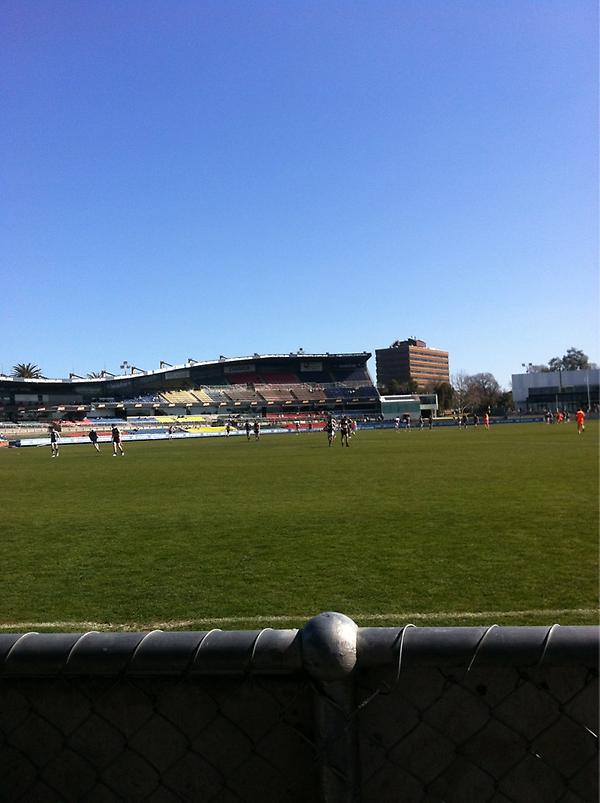 Jai Sheahan tweet media