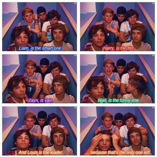 BLOODMOONLlT's tweet photo. I miss those video diaries❤ #voteonedirection http://t.co/DBP9QzJU http://t.co/LQFFxi7i