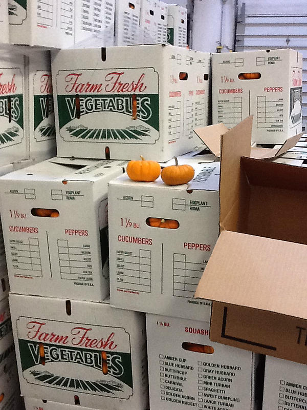 pam2733's tweet image. 30K mini pumpkins...and I need to find more  #eventplannerproblems