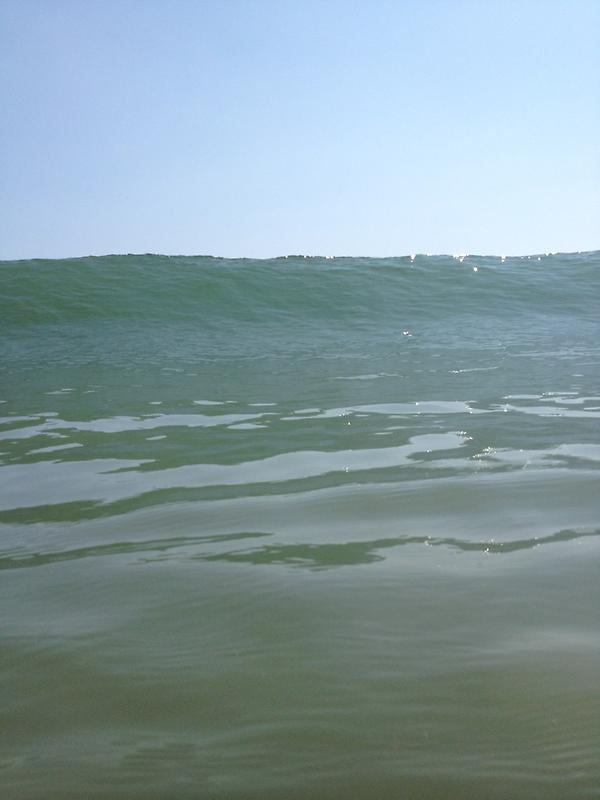 Summer Time Surf Sch tweet media