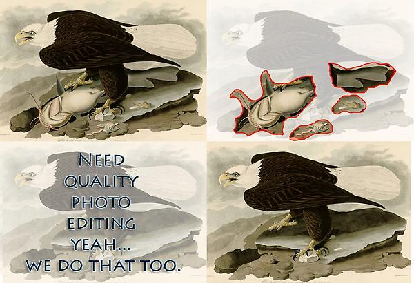 ImageOnThat's tweet image. We can do all kinds of things in photoshop.