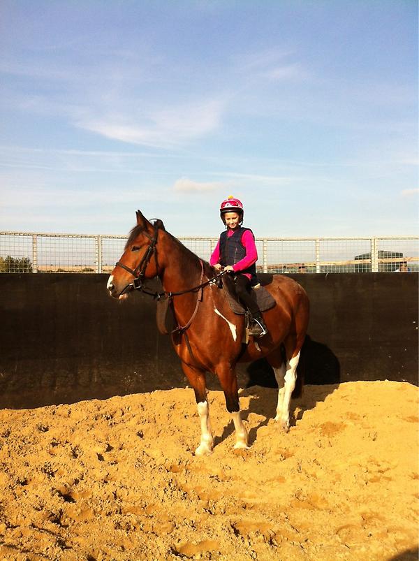 <a href="/Debs0401/">Debbie Mangan</a> … <a href="/andreamangan/">Andrea Mangan</a> …<a href="/_Davy_Russel_/">Davy Russell</a> …Future Star?