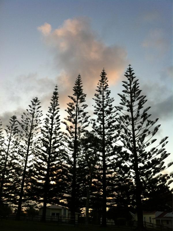 Why not visit Norfolk Island? #beauty #paradise