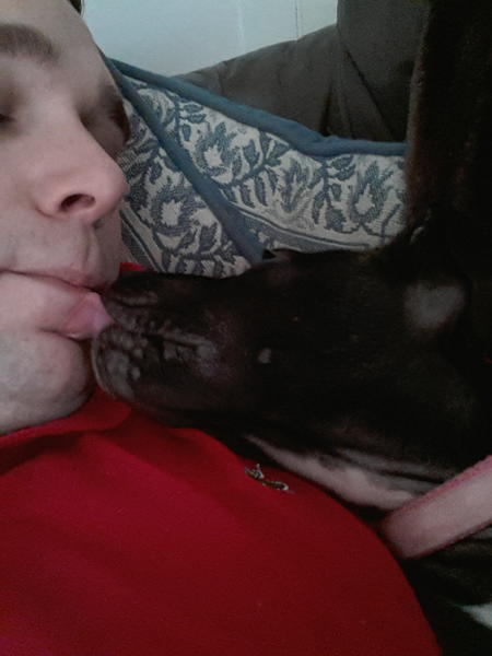 merlinsmagik's tweet image. my loving staffy :) #dontblamethebreed