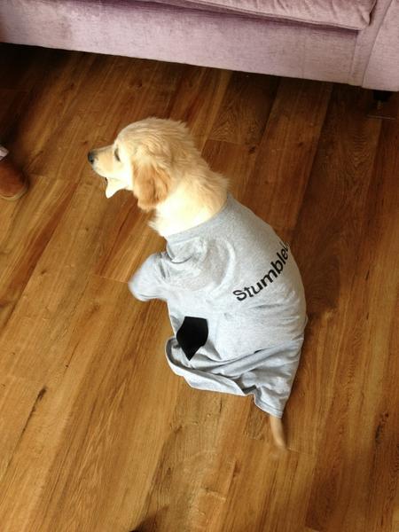 StumbleUpon Tshirt on my Puppy