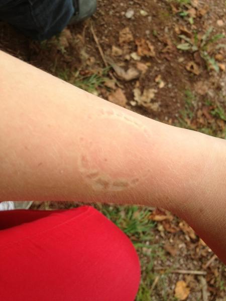 SchererSteven's tweet image. Da hatte einer Hunger