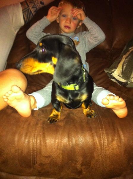 Look at my new dog xxx