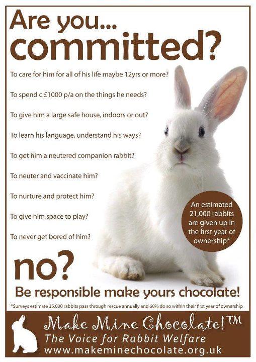 TheBunnyNanny's tweet photo. Love love love the Make Mine Chocolate campaign #bunnylove http://t.co/EpCB86HN