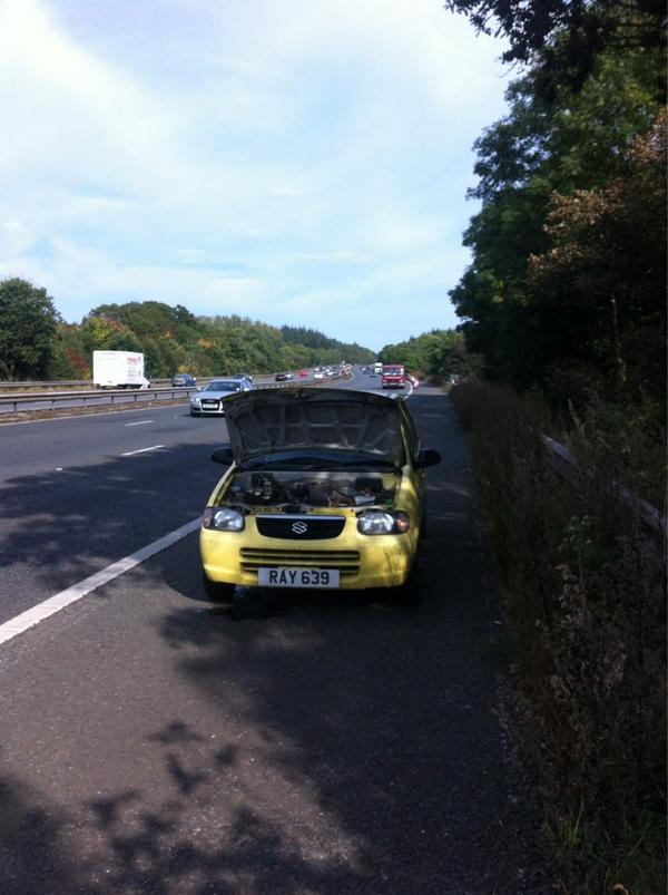 AshRees19's tweet image. Cheesy is dead! :( #RIPcheese