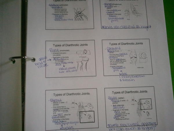 laurie_eklund's tweet image. #kinesiologyproblems #goodthingilikeit