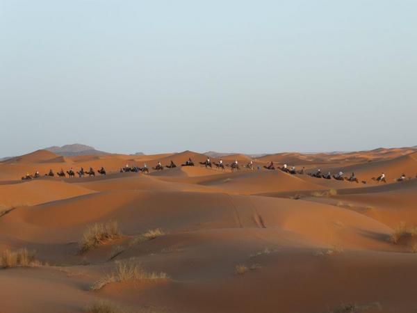 RamliatoursCOM's tweet photo. Quieres hacer como esos? Con nosotros puedess #viajes #travel #trip #tripadvisor #morocco #marrakech #marruecos http://t.co/UbQKAOtG