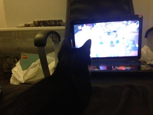 Waever_'s tweet photo. Oscar seems to like Glee #glee http://t.co/NMSOMzwJ