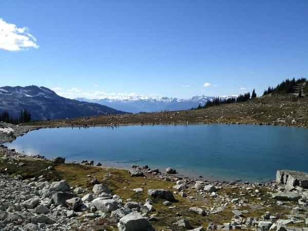 SeaingBlue's tweet image. Freshwater lake at the top of Blackcomb. #alpinehiking #peace