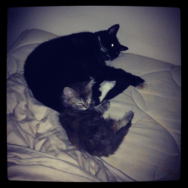 SarahRix's tweet photo. @Kathy_Valentine how's the wrist? http://t.co/MWK1YKFp