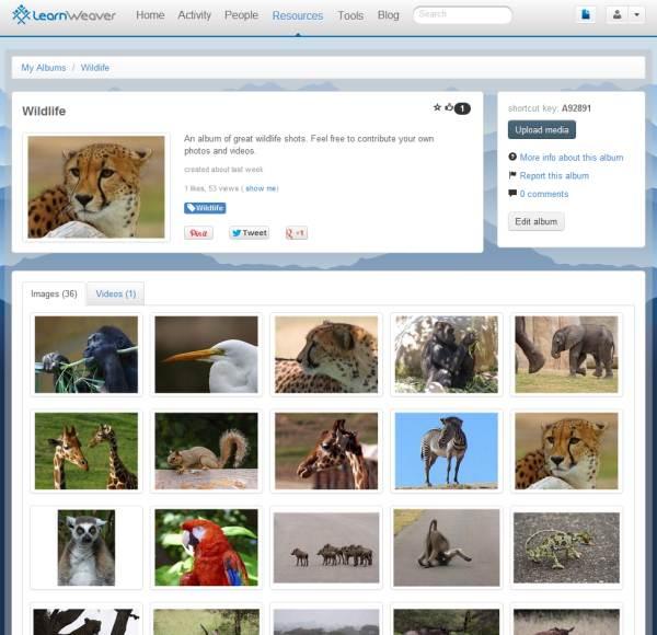 learnweaver's tweet image. Need photo/video/audio encoding, storage and moderation solution for education? Try this. bit.ly/TprETL #edTech