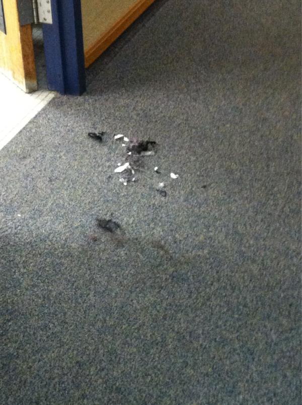 jessicadehaven_'s tweet image. If your going to cut your hair do it in the bathroom and throw it away #girls #millsproblems #gross smh