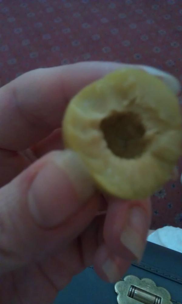 kelle_surprise's tweet photo. @friendsofham #olives #betterperspective #womanhand still 'mazing http://t.co/lc62QMU6