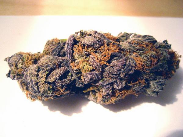 CannabisSearch's tweet image. Black Ice Kush, delicious rolled up in a blunt and perfect for body pain! #passthelighter