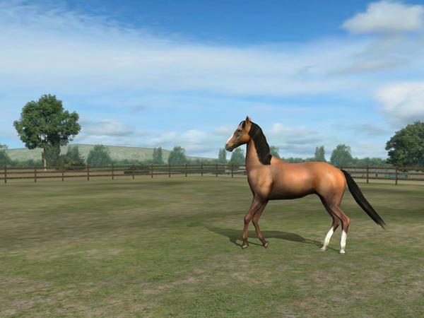 dhtorres's tweet photo. Check out my photo! Add me, DreamyClear108. #MyHorse http://t.co/0bKzT7YQ http://t.co/priuKItn