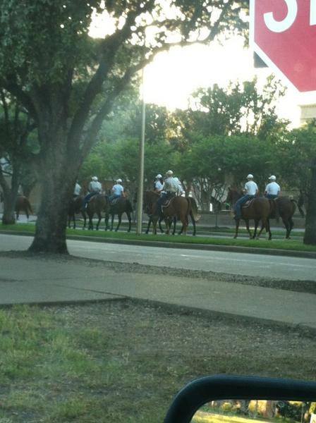 macphawcks's tweet image. Well. I&apos;ll be late to my meeting... #horsecrossing? #aggieproblems