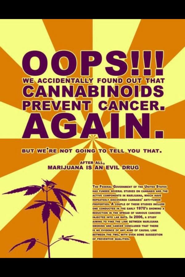 blondtourage206's tweet photo. http://t.co/C9N3qMp0