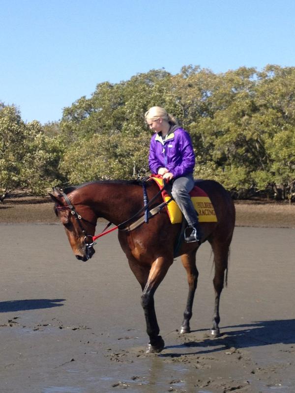 Anyone of my 3 followers recognise this horse...???