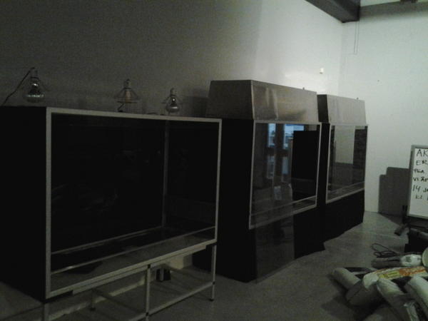 Hva kan vi ha i slike terrarier mon tro...?