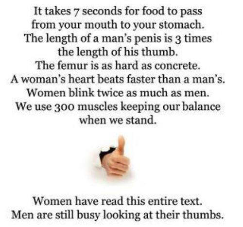 Fatih D Fatihd Twitter