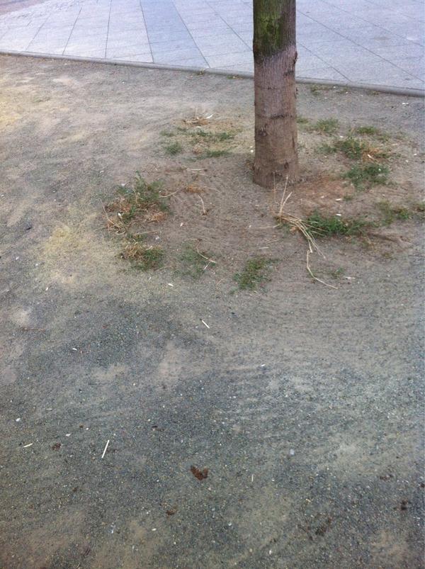 depressionsfun's tweet photo. Staring the ground trying to think of nobody http://t.co/MsTZRnX2