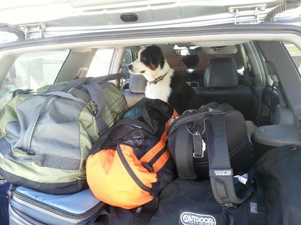 Jacob Miller tweet media