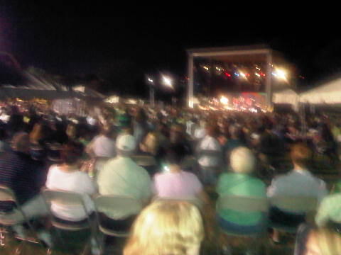 Pretty sure all these yinzers aren't Irish! #PittsburghIrishFestival