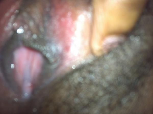 Princess_Wet's tweet photo. Goodmorning ☺ #wetpussy #lesbian http://t.co/VrOYlNXP