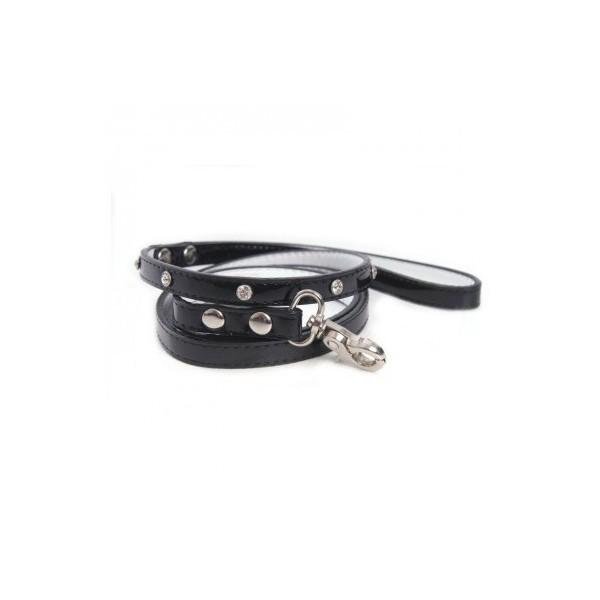 Pettecoats's tweet photo. Check out what I saved from http://t.co/pnBdPG1m (Black Night Dog Lead | Pettecoats) to @polyvore http://t.co/UKYdQ3un http://t.co/i4ELLapi