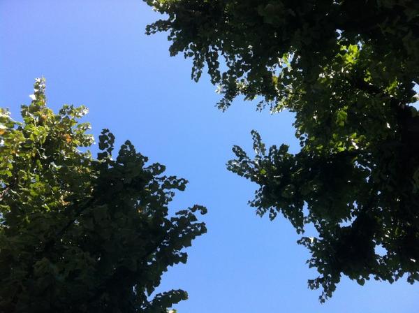 A proposito del chill out... <a href="/undralandi/">Undralandi</a>