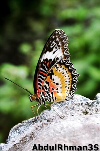Abdulrhman3S's tweet photo. @photographyksa @RetweetPictures @Beautifulpic1 من تصويري http://t.co/J7NUqm40