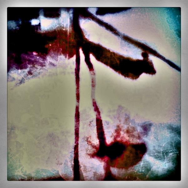 bukulu's tweet photo. Sent by PhotoForge2 http://t.co/A3X3AoQe
