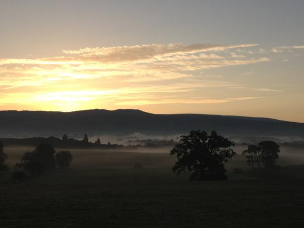 Underley Estate tweet media