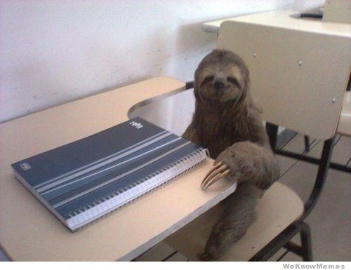 vin_1878's tweet image. in honor of the first #SlothSunday of the school year #nerdsloth