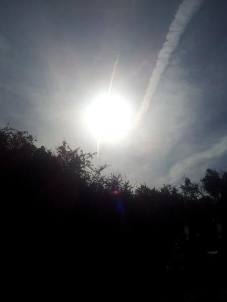 celticshadow206's tweet photo. @PIPIL4LIFE sun before chemtrails now what sun http://t.co/unW58UqW