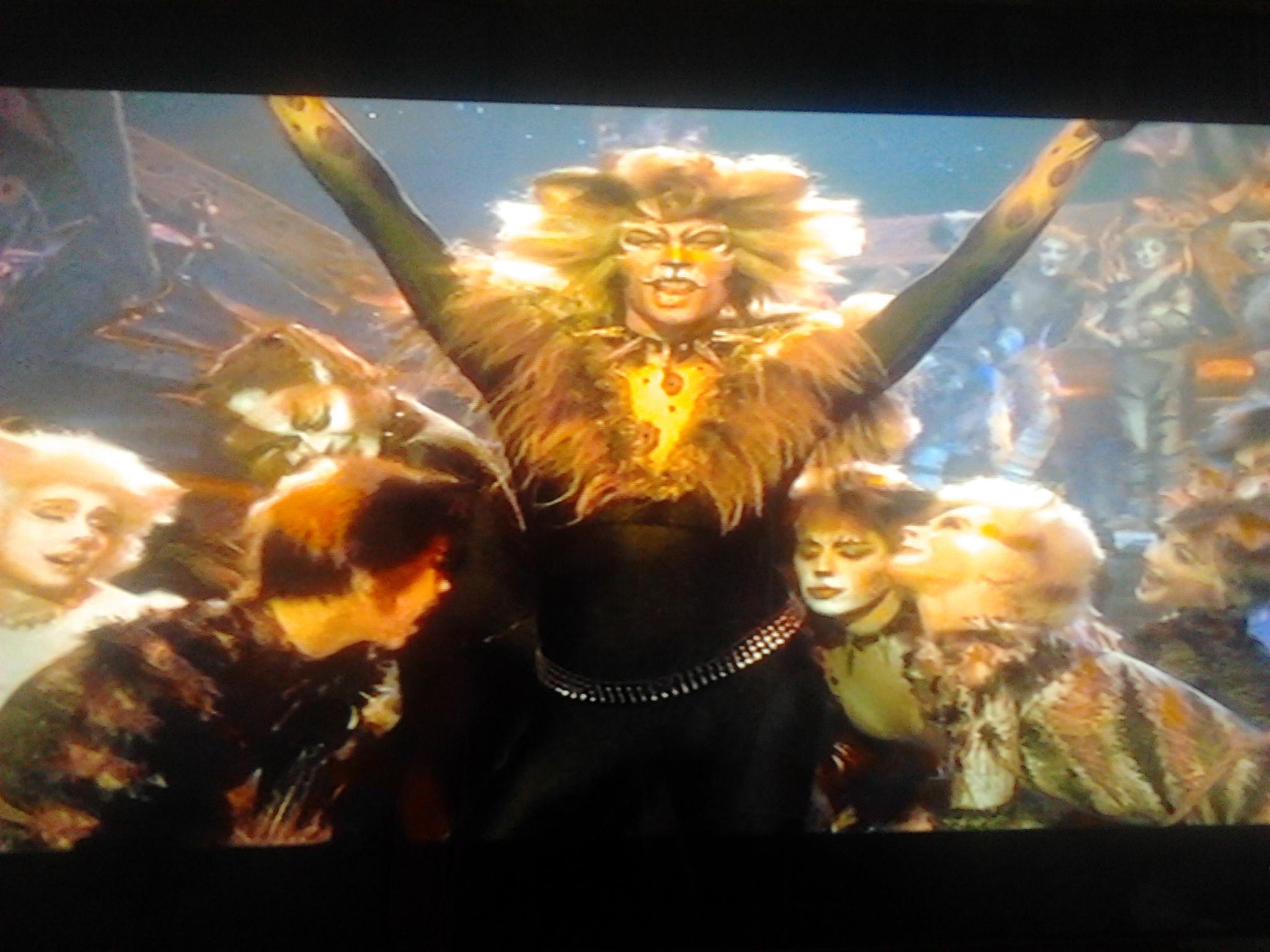The Rum Tum Tugger on Twitter "PLEASE ACCEPT IT mustbejp is the best