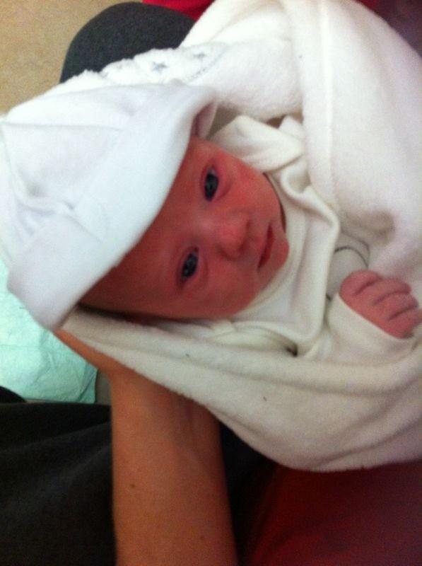 Rosiethewhippet's tweet image. Baby Mia my daddies granddaughter and looks like could be my new bestest friend