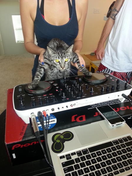 Charlie_Meows's tweet photo. @deadmau5 #reppin http://t.co/5ttNgZkF