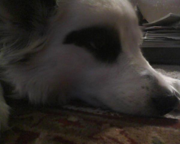 nnameiz_ixel22's tweet image. She loves me a lot! #isware