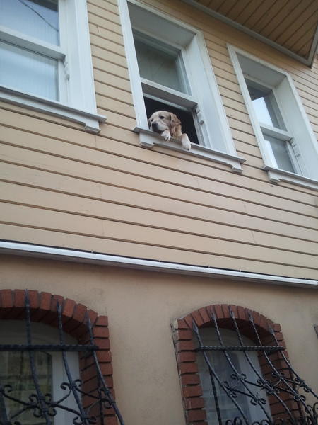 JennetAmanova's tweet photo. yerim ben bu tatliligi... http://t.co/vP8X3RWR