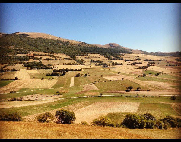 Mr. Boddington  tweet media